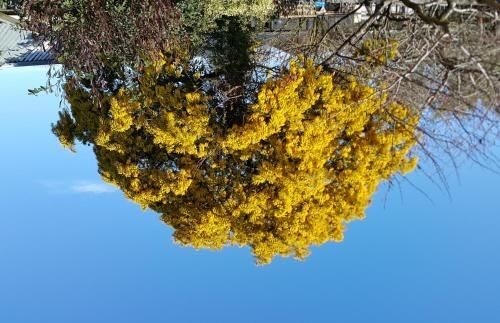 Lilybrook Motel4