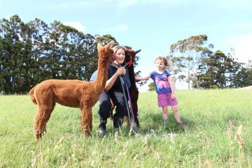 Pukeatua Farmstay4