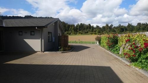 Foot of Turoa Chalet1