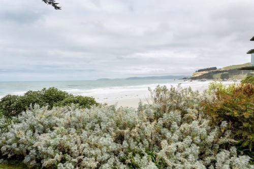 The Lookout1