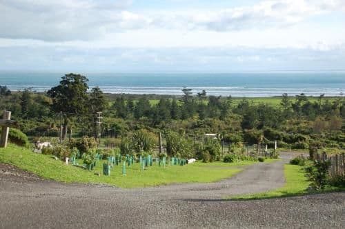 Three-Bedroom Cottage - RataView