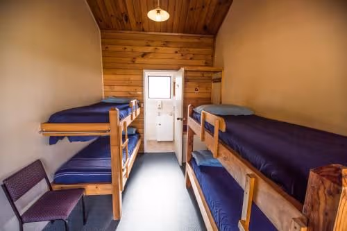 Bed in 4-Bed Mixed Dormitory Room