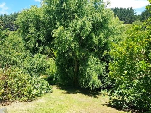 Max Cottage, Onetangi3