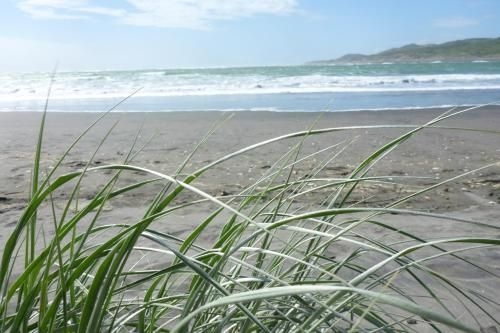 Ocean View Raglan Bed & Breakfast1