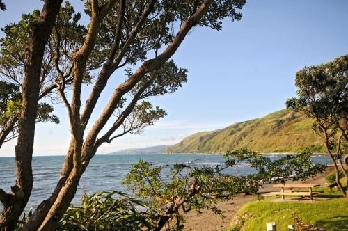 Kapiti Waves B&B3