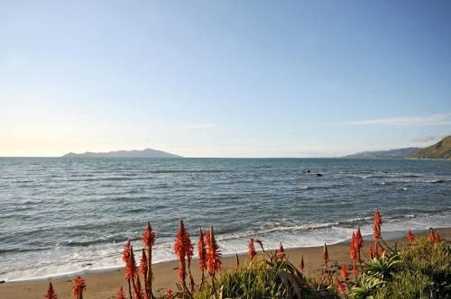 Kapiti Waves B&B2