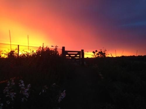 Gumtree Farmstay1