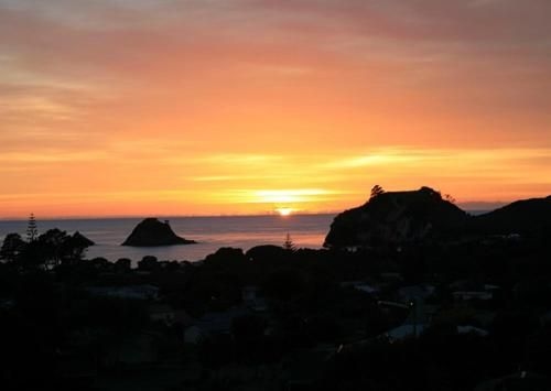 Hahei Horizon Bed & Breakfast4