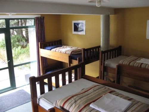 Bed in 8-Bed Dormitory Room