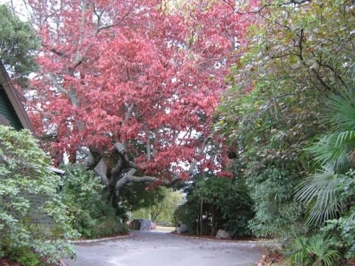 Creel Lodge2