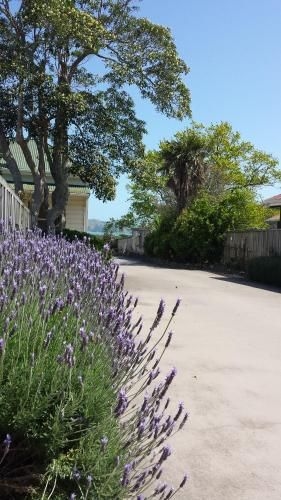 Abbey Court Motel Coromandel4
