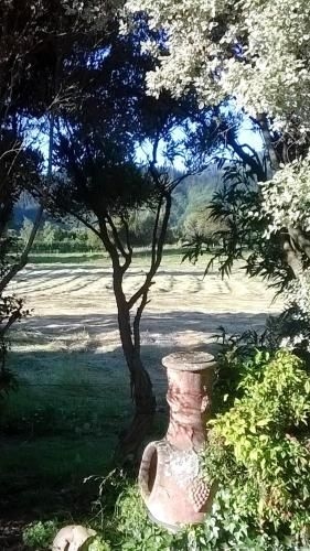 Marlborough B & B4