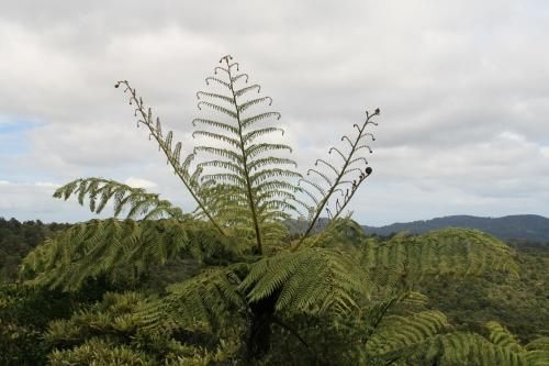 Bush Sand and Sea B&B1