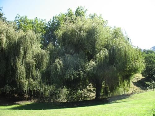 Karapiro Willows Luxury B & B1