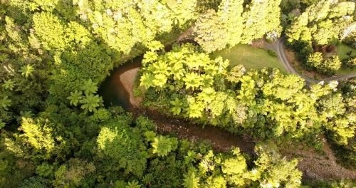 Wairua Lodge - Rainforest River Retreat2