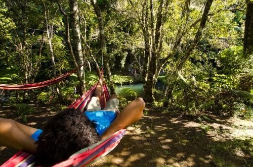 Wairua Lodge - Rainforest River Retreat4