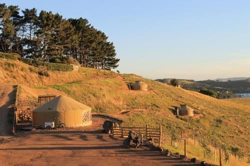 The Terraces - Papa Yurt