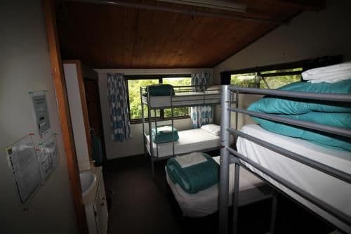 Bed in Mixed Dormitory Room