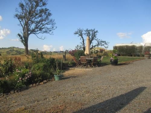Kauri Lodge2
