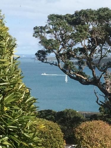Waiheke Island Vineyard Holiday Houses4