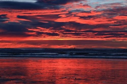 Beachview Motel0