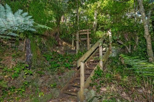 Rimu - Paihia Holiday Home2