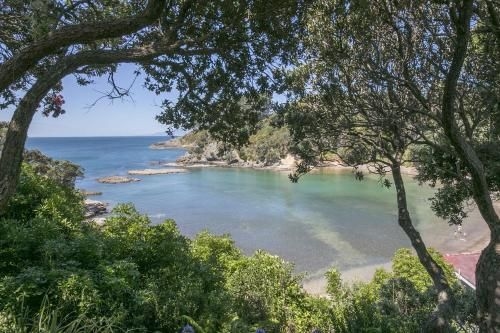 Beachfront Enclosure Bay - Waiheke Unlimited3