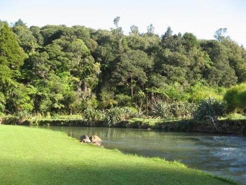 Kauri Coast TOP 10 Holiday Park0