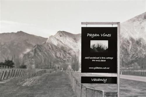 Pagan Vines Vineyard Accommodation2