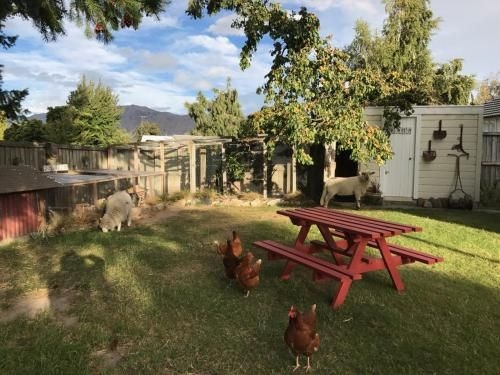 Tailor Made Tekapo Accommodation - Hostel2