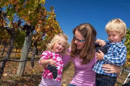 Straw Lodge Vineyard and Boutique Lodging1