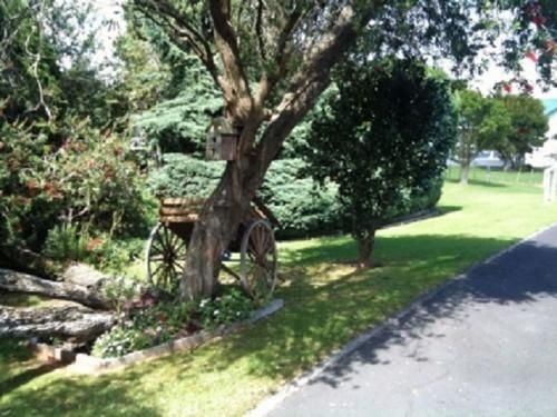 Dargaville Motel3