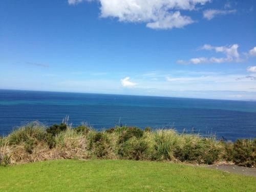 Ocean Purring View4