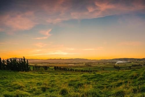 Greystone PurePod4