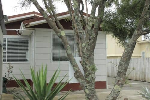 Beach House - Raglan CBD Beach House - Raglan CBD