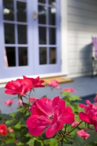Lavender Cottage1