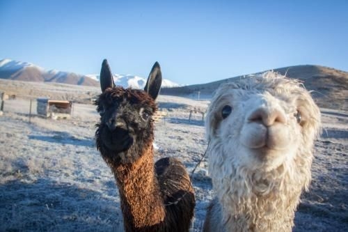 Highlands Farm Stay0