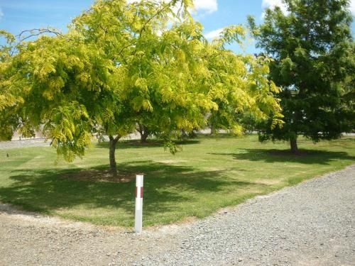 Paparoa Motor Camp3