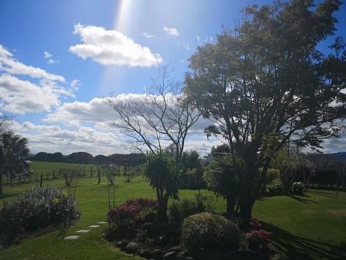 Paeroa Pukeko Lodge3