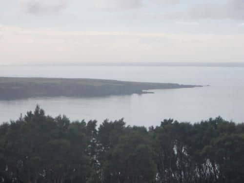 Nga Puriri Bed and Breakfast Nga Puriri Bed and Breakfast