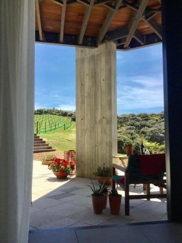 King Suite with Ocean View