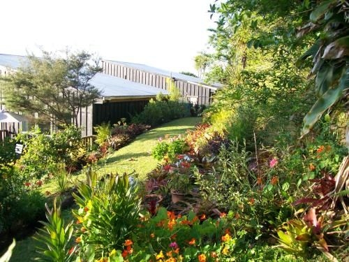 Self catering in Kerikeri1