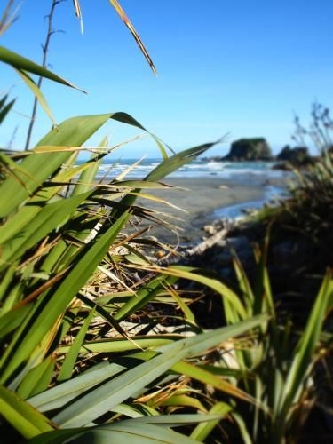 Out the Bay | Tahi (1) (Out the Bay Tahi 1)1