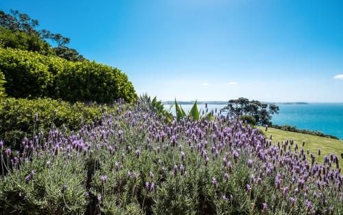 Tangaroa Estate1