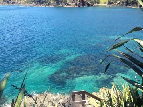 Te Whara at Kauri Mountain Point4