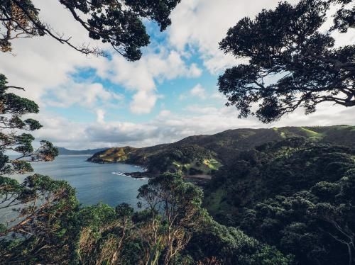 Te Whara at Kauri Mountain Point0