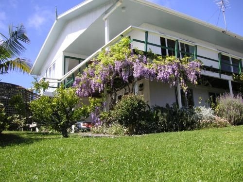 Aimeo Cottage0