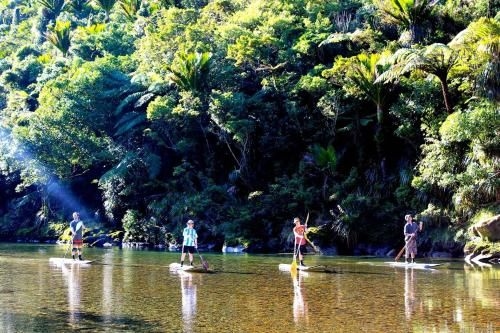 Punakaiki Beach Camp1