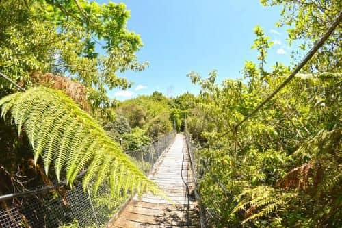TePopo Gardens & Accommodation TePopo Gardens & Accommodation