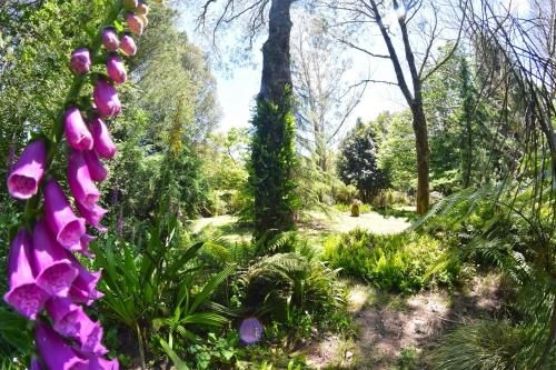 TePopo Gardens & Accommodation2